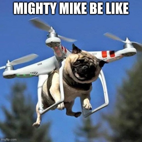 Flying Pug | MIGHTY MIKE BE LIKE | image tagged in flying pug | made w/ Imgflip meme maker