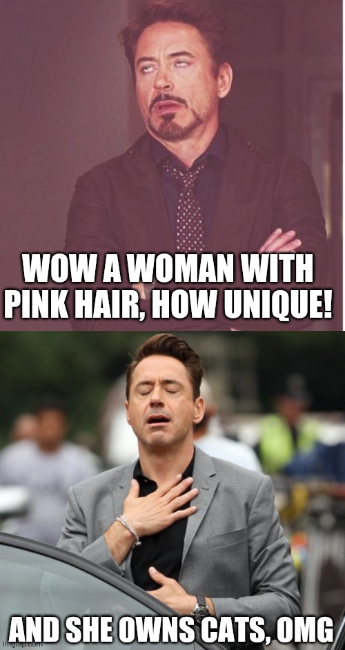 So so many of them |  WOW A WOMAN WITH PINK HAIR, HOW UNIQUE! AND SHE OWNS CATS, OMG | image tagged in pink,hair,women,cat,lovers | made w/ Imgflip meme maker