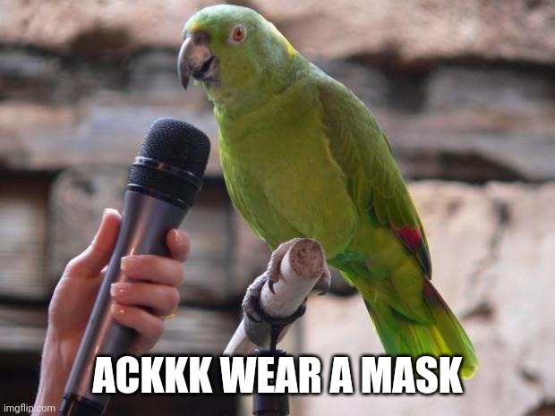 parrot | ACKKK WEAR A MASK | image tagged in parrot | made w/ Imgflip meme maker