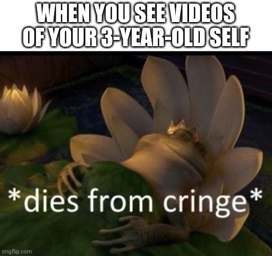 Mom just made me watch my 3-year-old self dancing |  WHEN YOU SEE VIDEOS OF YOUR 3-YEAR-OLD SELF | image tagged in cringe,why,seriously,ahhhhhhhhhhhhh,dont | made w/ Imgflip meme maker