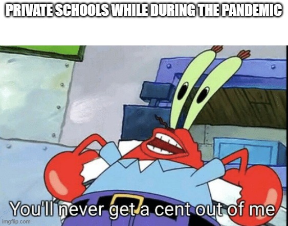 my school currently | PRIVATE SCHOOLS WHILE DURING THE PANDEMIC | image tagged in funny memes | made w/ Imgflip meme maker