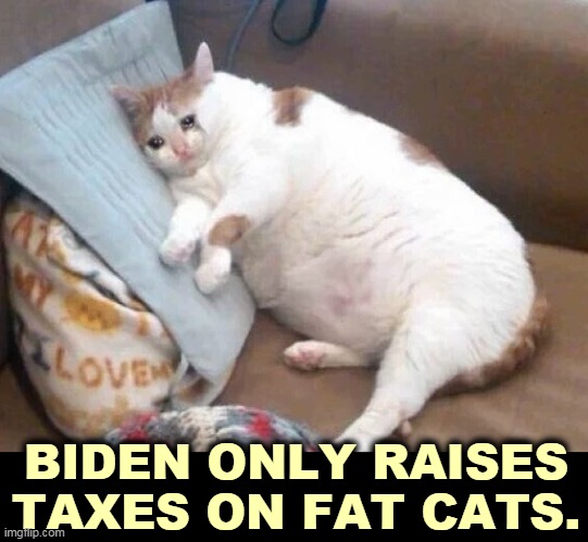 You're safe. | BIDEN ONLY RAISES TAXES ON FAT CATS. | image tagged in fat cat crying,biden,taxes,fat,cats | made w/ Imgflip meme maker