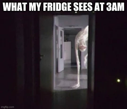 The Anxious Dog requires   B E A N S | WHAT MY FRIDGE SEES AT 3AM | image tagged in the anxious dog | made w/ Imgflip meme maker