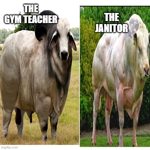Gym Teacher VS Janitor | THE GYM TEACHER; THE JANITOR | image tagged in gym memes,janitor | made w/ Imgflip meme maker