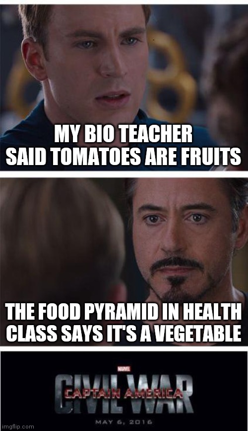 Does that make ketchup a smoothie? | MY BIO TEACHER SAID TOMATOES ARE FRUITS; THE FOOD PYRAMID IN HEALTH CLASS SAYS IT'S A VEGETABLE | image tagged in memes,marvel civil war 1 | made w/ Imgflip meme maker