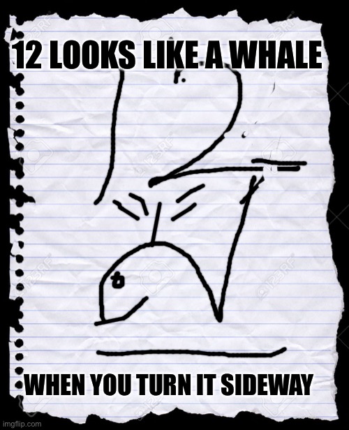 12 is a Whale | 12 LOOKS LIKE A WHALE; WHEN YOU TURN IT SIDEWAY | image tagged in blank paper | made w/ Imgflip meme maker