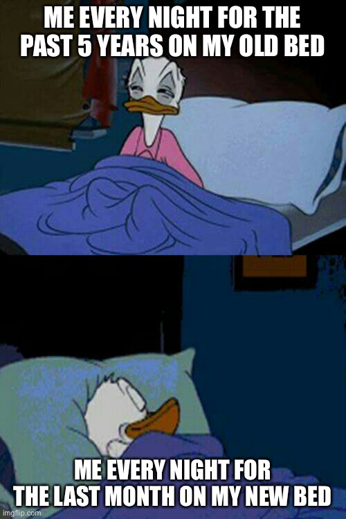 sleepy donald duck in bed | ME EVERY NIGHT FOR THE PAST 5 YEARS ON MY OLD BED ME EVERY NIGHT FOR THE LAST MONTH ON MY NEW BED | image tagged in sleepy donald duck in bed | made w/ Imgflip meme maker