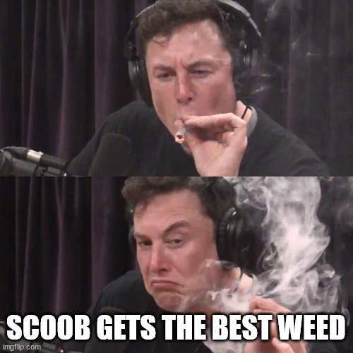 Elon Musk Weed | SCOOB GETS THE BEST WEED | image tagged in elon musk weed | made w/ Imgflip meme maker