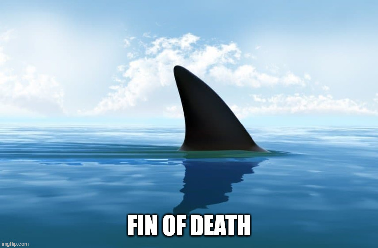 Shark Fin | FIN OF DEATH | image tagged in shark fin | made w/ Imgflip meme maker