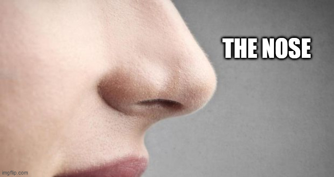 What is this? | THE NOSE | image tagged in what is this | made w/ Imgflip meme maker