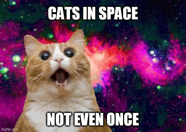 SPACE | CATS IN SPACE; NOT EVEN ONCE | image tagged in space | made w/ Imgflip meme maker
