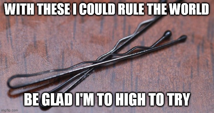 With | WITH THESE I COULD RULE THE WORLD; BE GLAD I'M TO HIGH TO TRY | image tagged in with | made w/ Imgflip meme maker