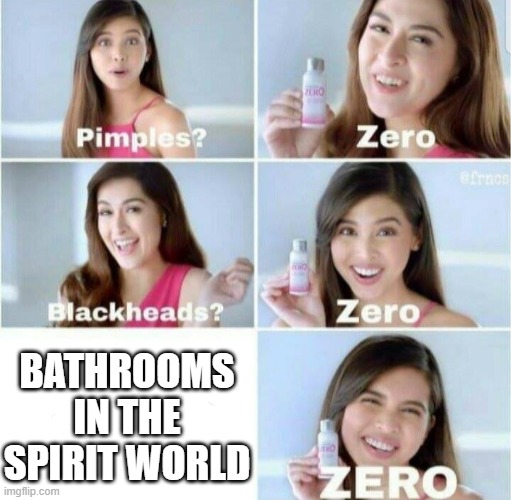 After all, there are NO bathrooms in the spirit world! | BATHROOMS IN THE SPIRIT WORLD | image tagged in pimples zero,avatar the last airbender,zero,unnecessary tags,memes | made w/ Imgflip meme maker