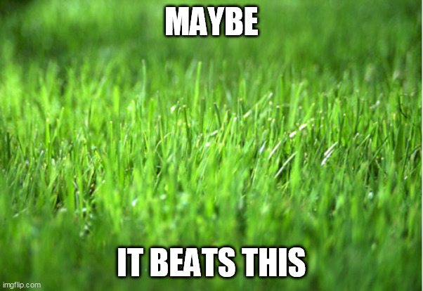 grass is greener | MAYBE IT BEATS THIS | image tagged in grass is greener | made w/ Imgflip meme maker