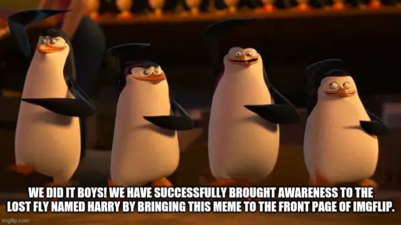 we did it boys | WE DID IT BOYS! WE HAVE SUCCESSFULLY BROUGHT AWARENESS TO THE LOST FLY NAMED HARRY BY BRINGING THIS MEME TO THE FRONT PAGE OF IMGFLIP. | image tagged in we did it boys | made w/ Imgflip meme maker