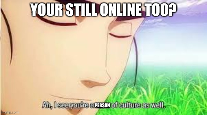 Ah,I see you are a man of culture as well | YOUR STILL ONLINE TOO? PERSON | image tagged in ah i see you are a man of culture as well | made w/ Imgflip meme maker