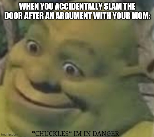 Im in danger | WHEN YOU ACCIDENTALLY SLAM THE DOOR AFTER AN ARGUMENT WITH YOUR MOM:; *CHUCKLES* IM IN DANGER | image tagged in hole up shrek | made w/ Imgflip meme maker