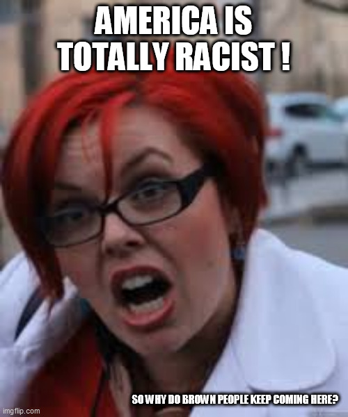 SJW Triggered | AMERICA IS TOTALLY RACIST ! SO WHY DO BROWN PEOPLE KEEP COMING HERE? | image tagged in sjw triggered | made w/ Imgflip meme maker