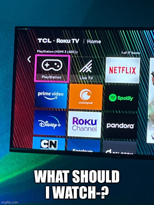 *praying nobody will pick pandora or spotify* | WHAT SHOULD I WATCH-? | image tagged in tv | made w/ Imgflip meme maker