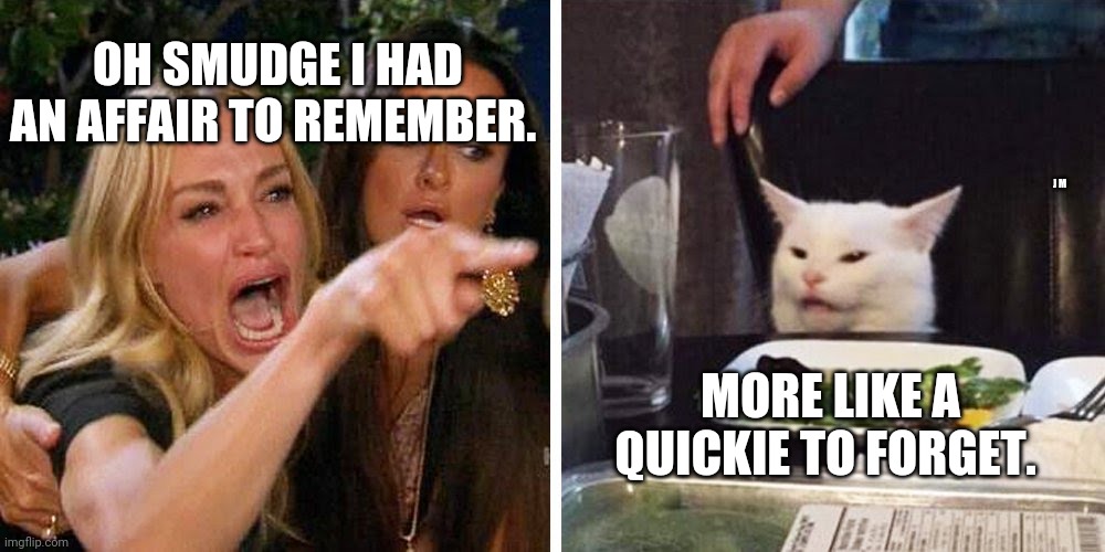Smudge the cat | OH SMUDGE I HAD AN AFFAIR TO REMEMBER. J M; MORE LIKE A QUICKIE TO FORGET. | image tagged in smudge the cat | made w/ Imgflip meme maker