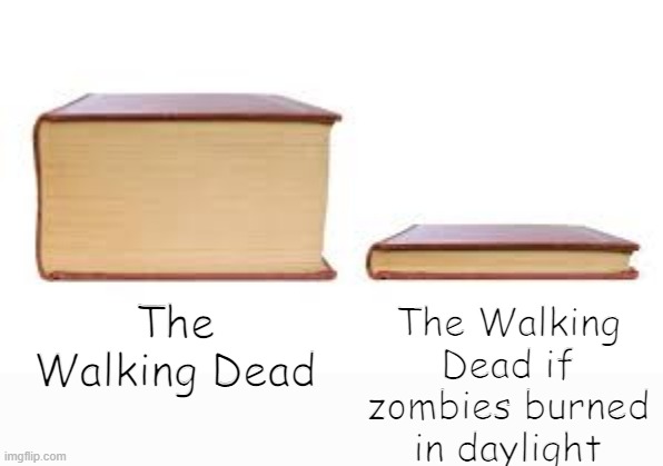 The Walking Dead | The Walking Dead if zombies burned in daylight; The Walking Dead | image tagged in big book small book | made w/ Imgflip meme maker