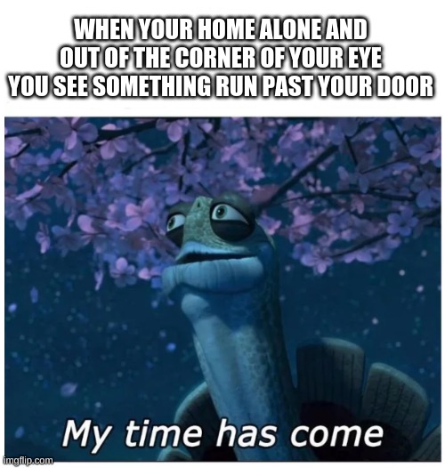 It's the end! | WHEN YOUR HOME ALONE AND OUT OF THE CORNER OF YOUR EYE YOU SEE SOMETHING RUN PAST YOUR DOOR | image tagged in my time has come,fun,funny,funny memes,funny meme | made w/ Imgflip meme maker