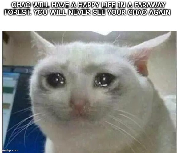 made me cry | CHAO WILL HAVE A HAPPY LIFE IN A FARAWAY FOREST. YOU WILL NEVER SEE YOUR CHAO AGAIN | image tagged in crying cat | made w/ Imgflip meme maker