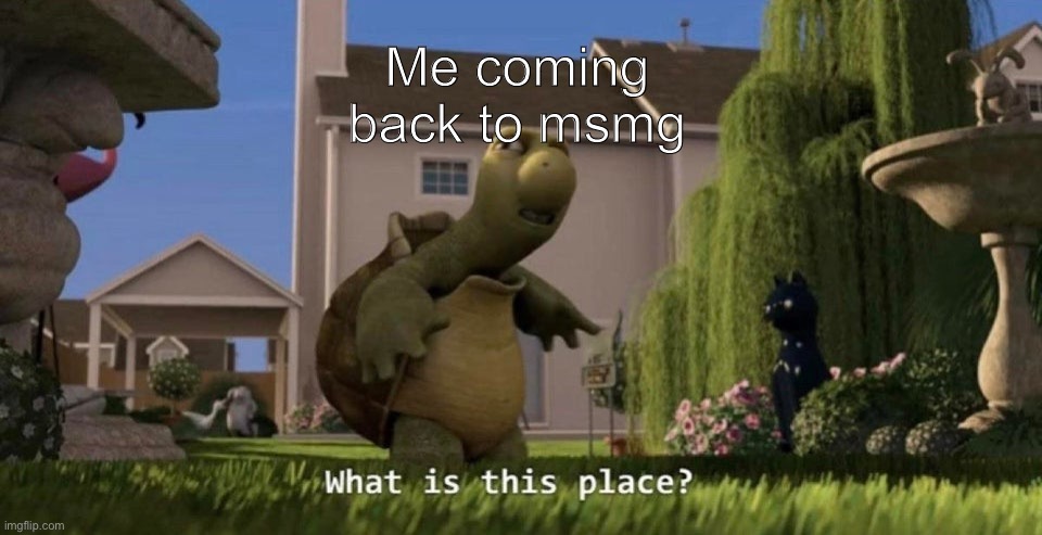 So much changed | Me coming back to msmg | image tagged in what is this place | made w/ Imgflip meme maker