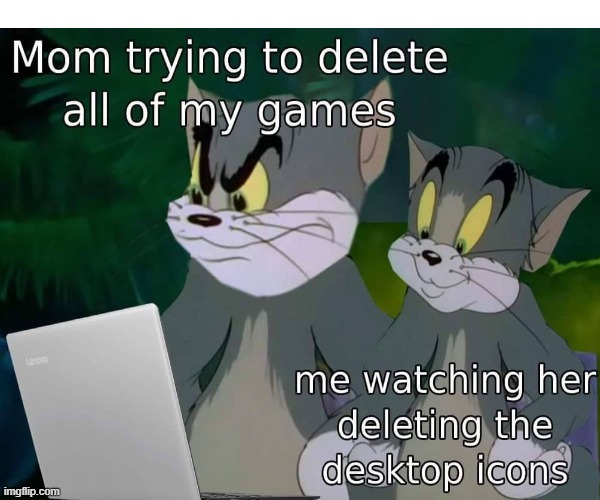 lol she will never now how to work a laptop | image tagged in tom and jerry | made w/ Imgflip meme maker