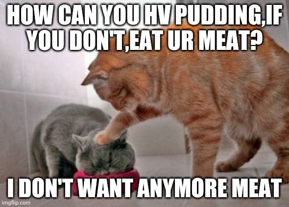 Force feed cat | HOW CAN YOU HV PUDDING,IF YOU DON'T,EAT UR MEAT? I DON'T WANT ANYMORE MEAT | image tagged in force feed cat | made w/ Imgflip meme maker