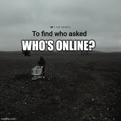 THE SEARCH To find who asked | WHO'S ONLINE? | image tagged in the search to find who asked | made w/ Imgflip meme maker