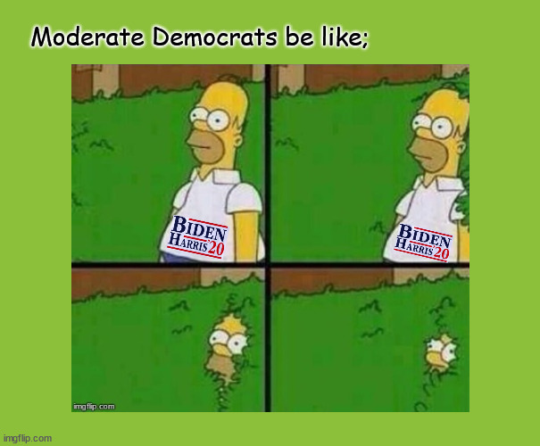 Moderate democrats be like ... | Moderate Democrats be like; | image tagged in politics,ConservativeMemes | made w/ Imgflip meme maker