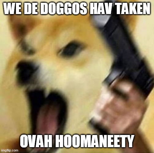 Angry doge with gun | WE DE DOGGOS HAV TAKEN OVAH HOOMANEETY | image tagged in angry doge with gun | made w/ Imgflip meme maker