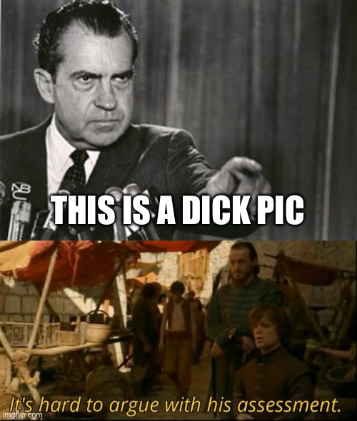 THIS IS A DICK PIC | image tagged in richard nixon,it's hard to argue with his assessment | made w/ Imgflip meme maker