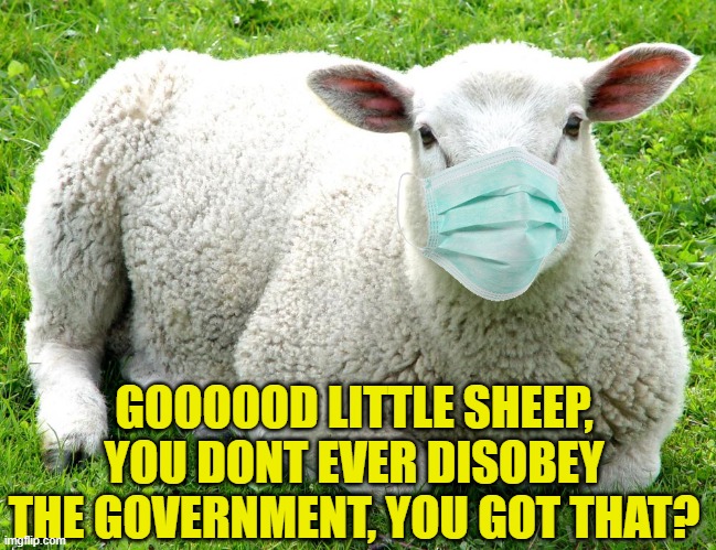 GOOOOOD LITTLE SHEEP, YOU DONT EVER DISOBEY THE GOVERNMENT, YOU GOT THAT? | made w/ Imgflip meme maker