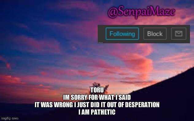 sunset | TORU
IM SORRY FOR WHAT I SAID
IT WAS WRONG I JUST DID IT OUT OF DESPERATION
I AM PATHETIC | image tagged in sunset | made w/ Imgflip meme maker