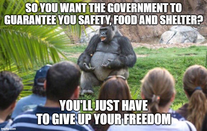 Do you think for a second, he wouldn't rather be free? | SO YOU WANT THE GOVERNMENT TO GUARANTEE YOU SAFETY, FOOD AND SHELTER? YOU'LL JUST HAVE TO GIVE UP YOUR FREEDOM | image tagged in gorilla lecture,libertarian,neckbeard libertarian,freedom,fascism,great reset | made w/ Imgflip meme maker
