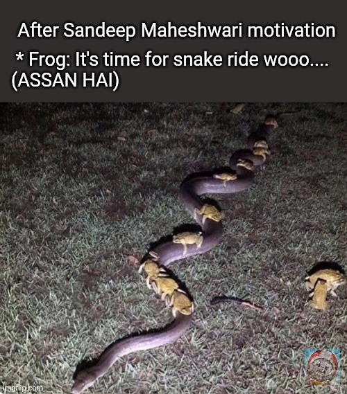 After Sandeep Maheshwari motivation; * Frog: It's time for snake ride wooo....
(ASSAN HAI) | image tagged in motivation | made w/ Imgflip meme maker