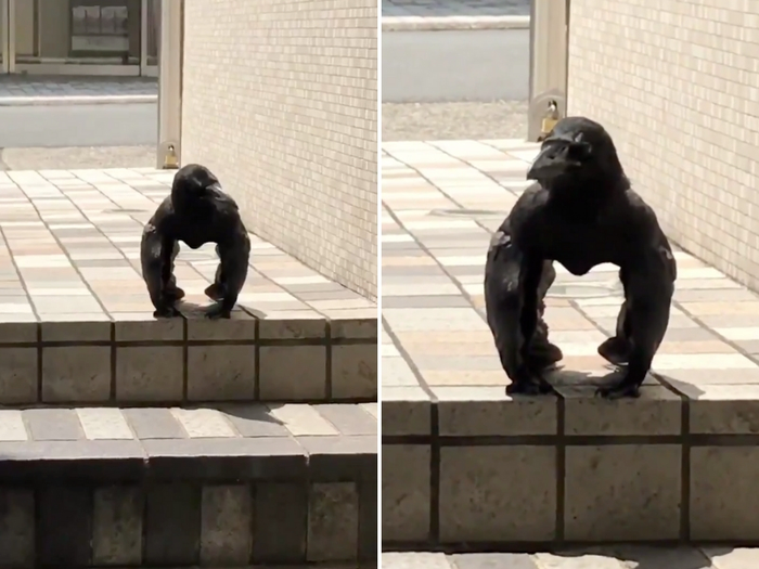 KA-KAW Blank Meme Template