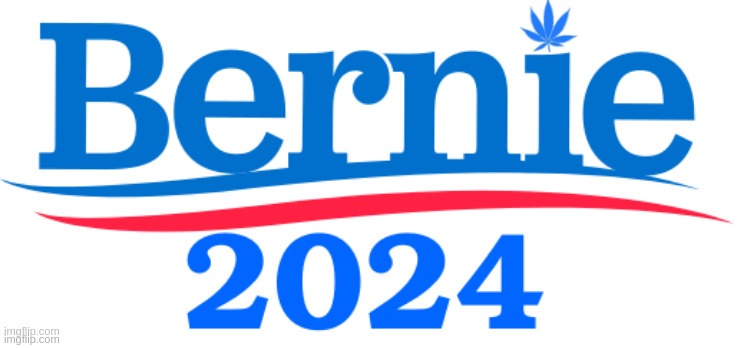 Burnie 2024 | image tagged in bernie sanders | made w/ Imgflip meme maker