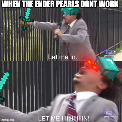yes | WHEN THE ENDER PEARLS DONT WORK | image tagged in let me in,minecraft | made w/ Imgflip meme maker