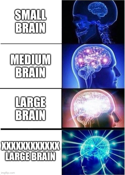Brain | SMALL BRAIN; MEDIUM BRAIN; LARGE BRAIN; XXXXXXXXXXXX LARGE BRAIN | image tagged in memes,expanding brain | made w/ Imgflip meme maker