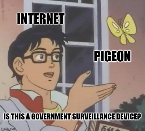 Is This A Pigeon Meme | INTERNET; PIGEON; IS THIS A GOVERNMENT SURVEILLANCE DEVICE? | image tagged in memes,is this a pigeon | made w/ Imgflip meme maker