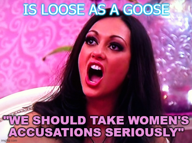 Is loose as a goose; "We Should Take Women's Accusations Seriously" | IS LOOSE AS A GOOSE; "WE SHOULD TAKE WOMEN'S ACCUSATIONS SERIOUSLY" | image tagged in feminazi | made w/ Imgflip meme maker
