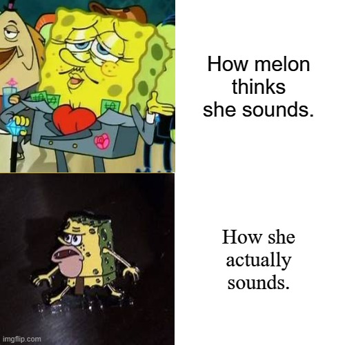 What you think vs what you know | How melon thinks she sounds. How she actually sounds. | image tagged in funny | made w/ Imgflip meme maker