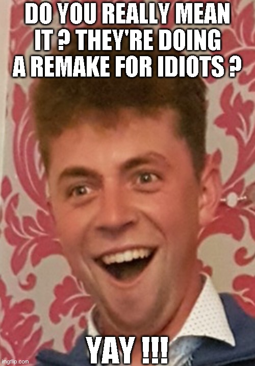 bad remake | DO YOU REALLY MEAN IT ? THEY'RE DOING A REMAKE FOR IDIOTS ? YAY !!! | image tagged in idiotic,funny,memes,smiling,weirdo,slap | made w/ Imgflip meme maker