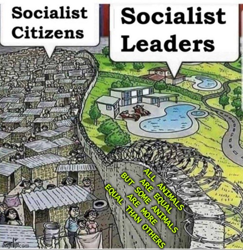 All animals are equal but some animals are more equal than others | ALL ANIMALS ARE EQUAL
BUT SOME ANIMALS ARE MORE EQUAL THAN OTHERS | image tagged in socialism | made w/ Imgflip meme maker