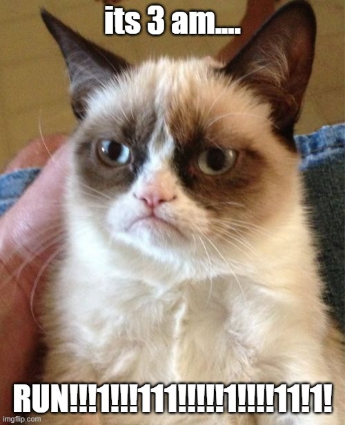 (it me denki eee) ITS 3 AM RUNNNNNNNNNNNNNNNNNNNNNNNN | its 3 am.... RUN!!!1!!!111!!!!!1!!!!11!1! | image tagged in memes,grumpy cat | made w/ Imgflip meme maker