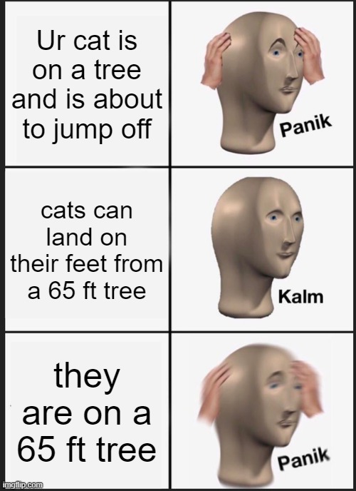 Cats in a nutshell (ye ik its probs a bad meme) | Ur cat is on a tree and is about to jump off; cats can land on their feet from a 65 ft tree; they are on a 65 ft tree | image tagged in memes,panik kalm panik | made w/ Imgflip meme maker