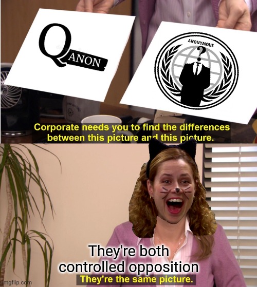 They're The Same Picture | They're both controlled opposition | image tagged in memes,they're the same picture,politics,funny,anonymous,qanon | made w/ Imgflip meme maker